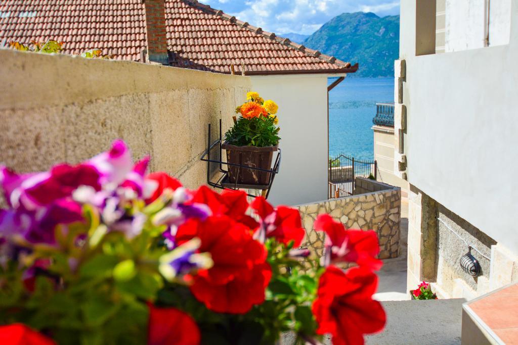 Apartment The Sea Coast Kotor Exteriér fotografie